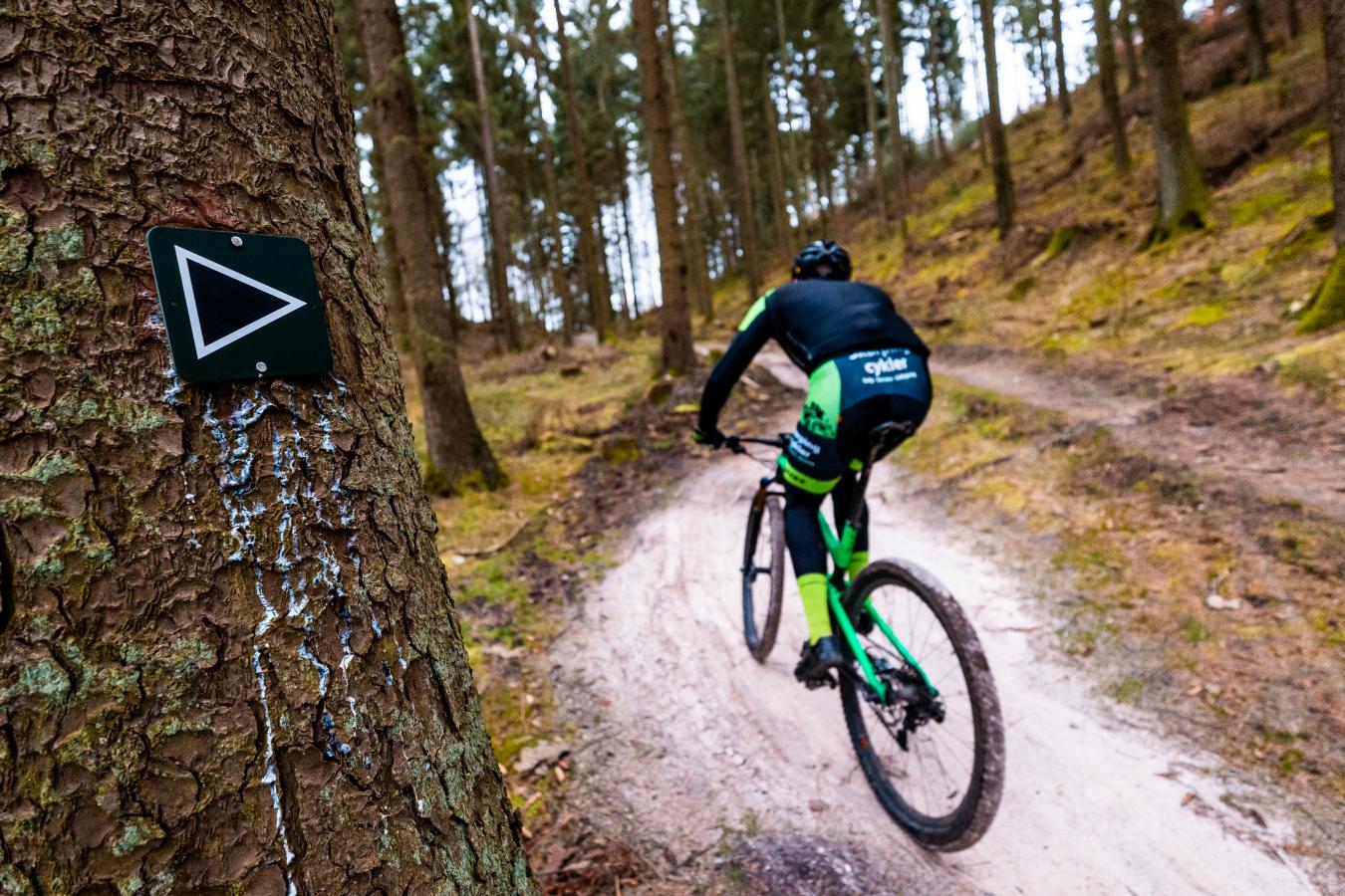 Mountainbike spor i Rold Skov