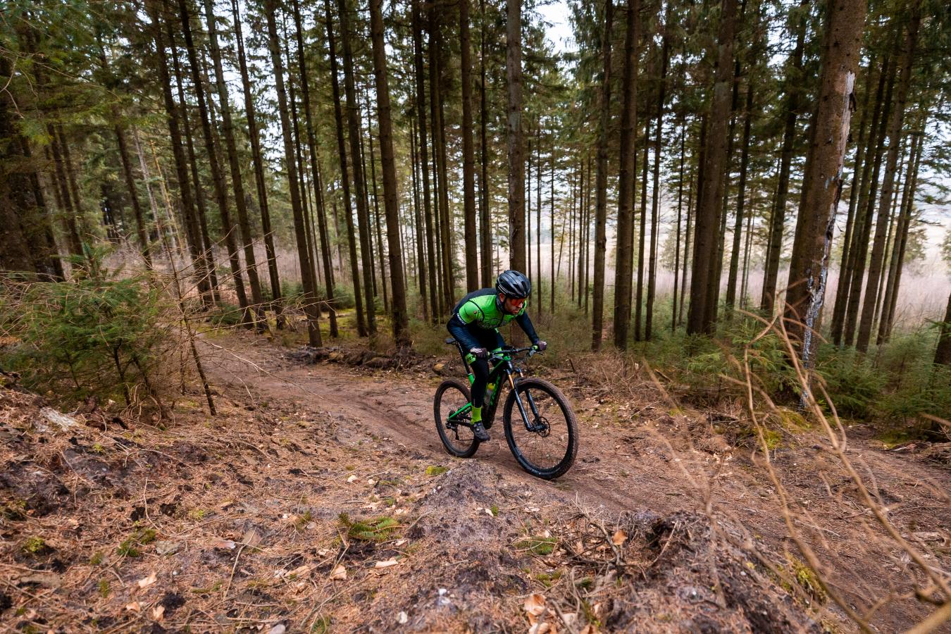 Mountainbike i Rold Skov