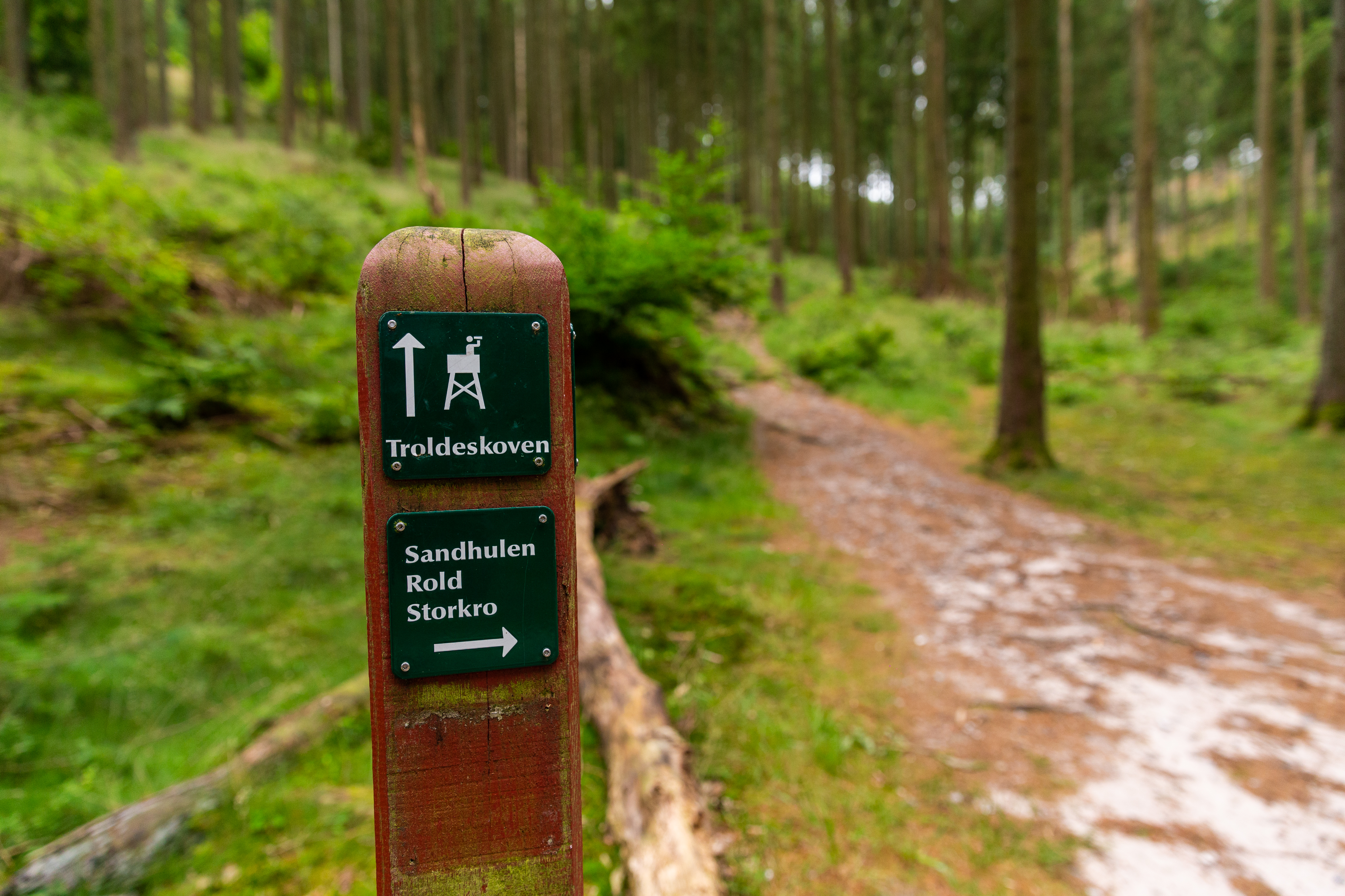 RebildPorten