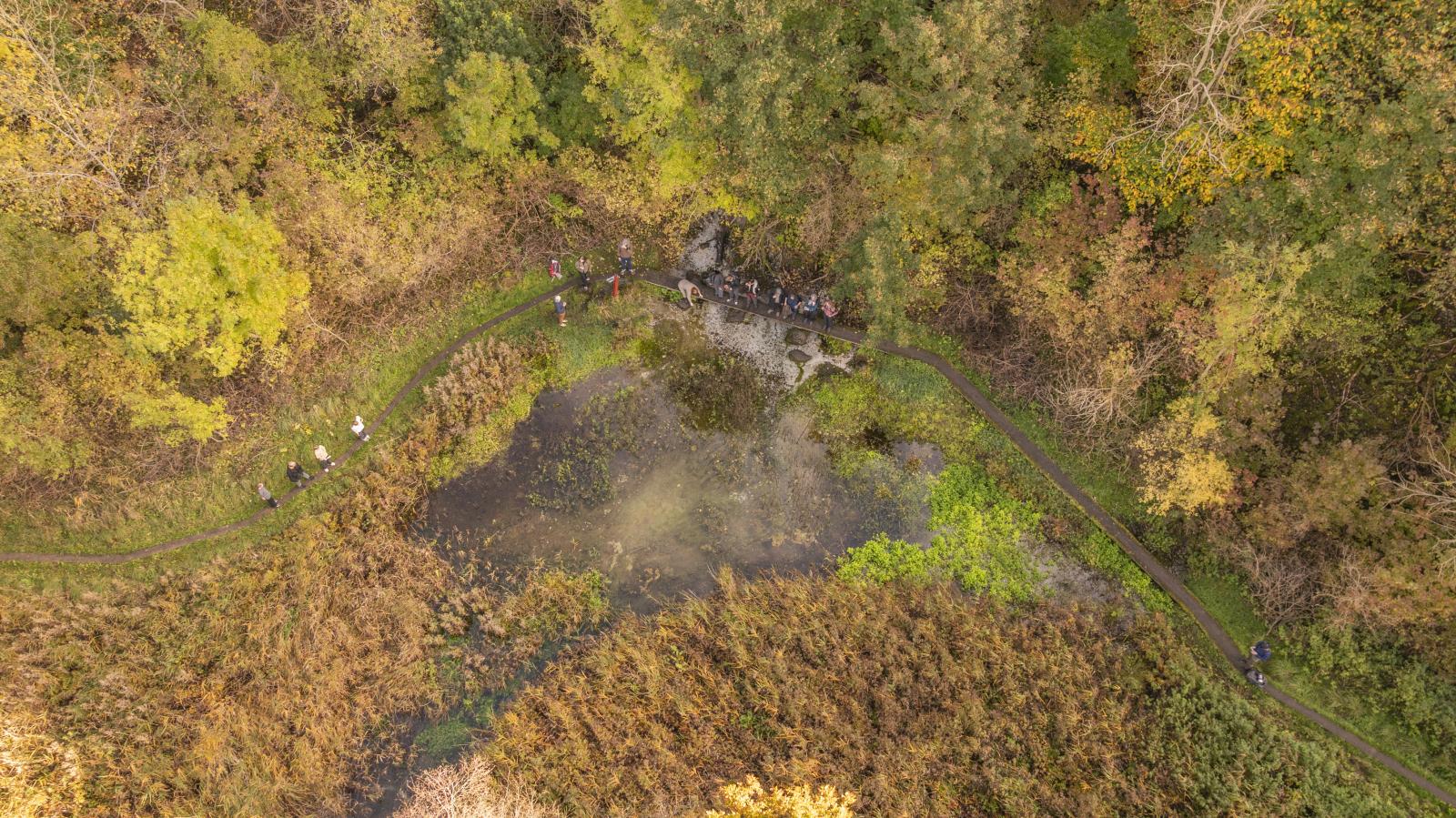 LIlle Blåkilde