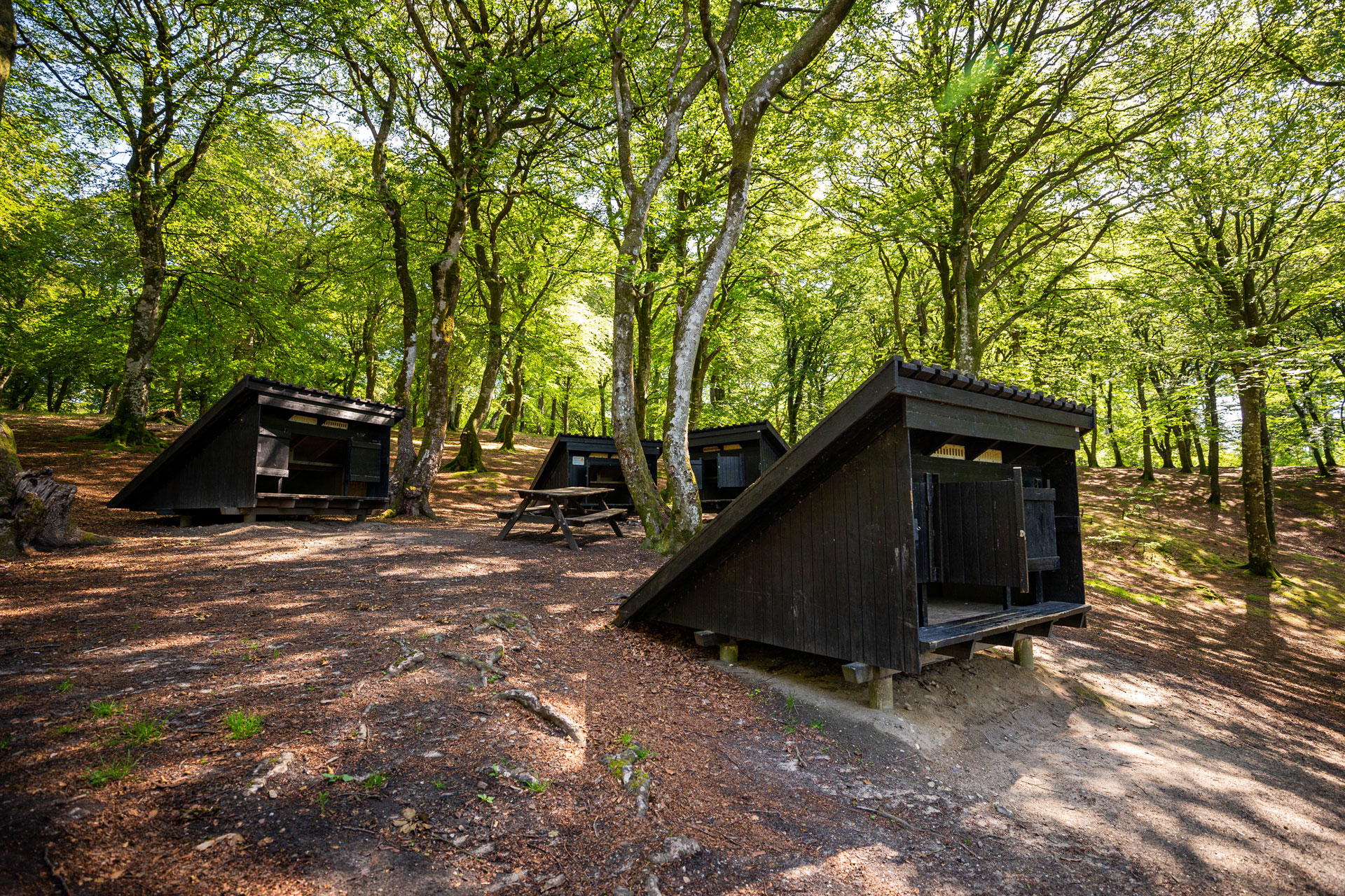 Shelters ved store økssø