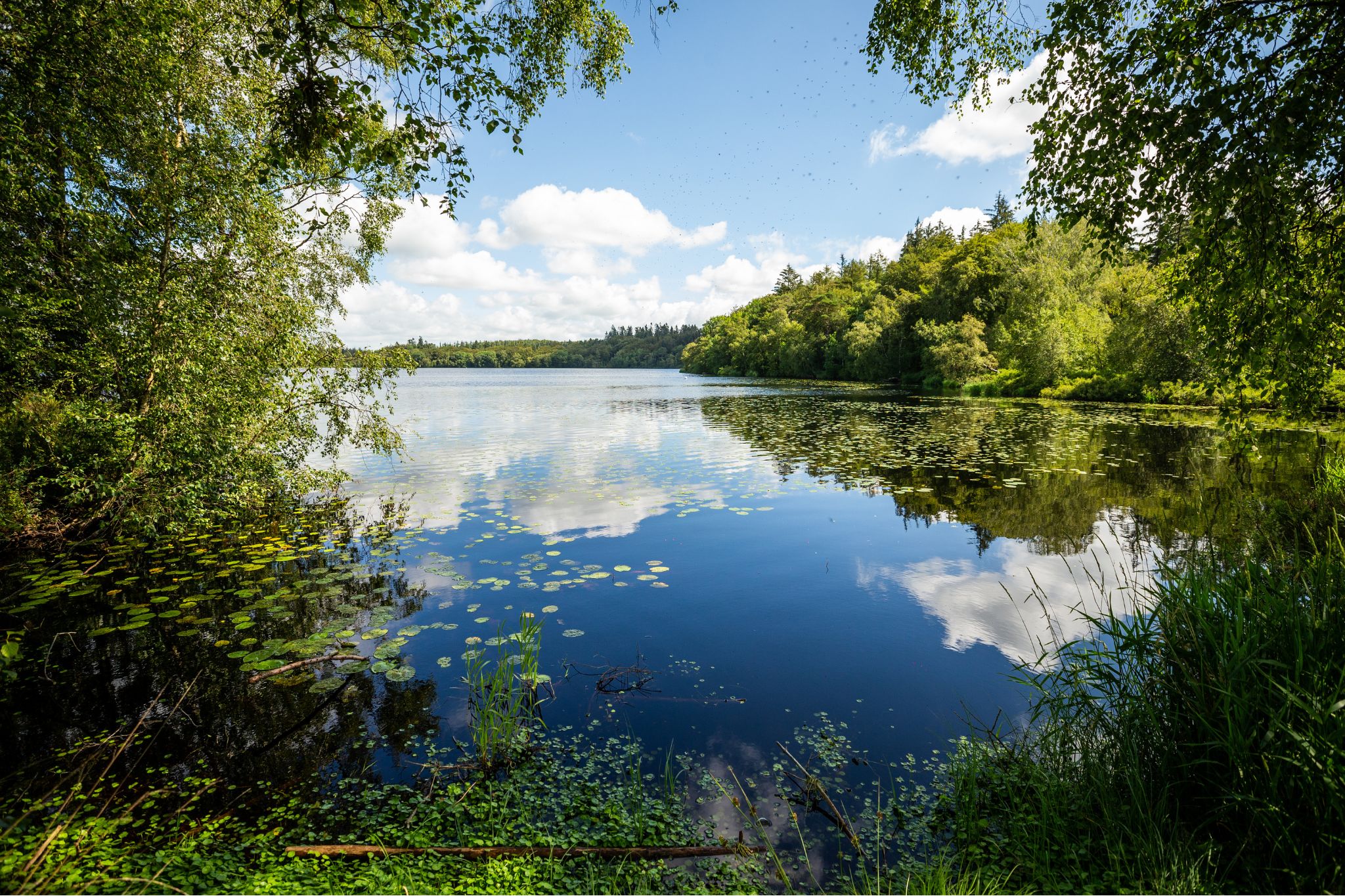 Store Økssø Udsigt