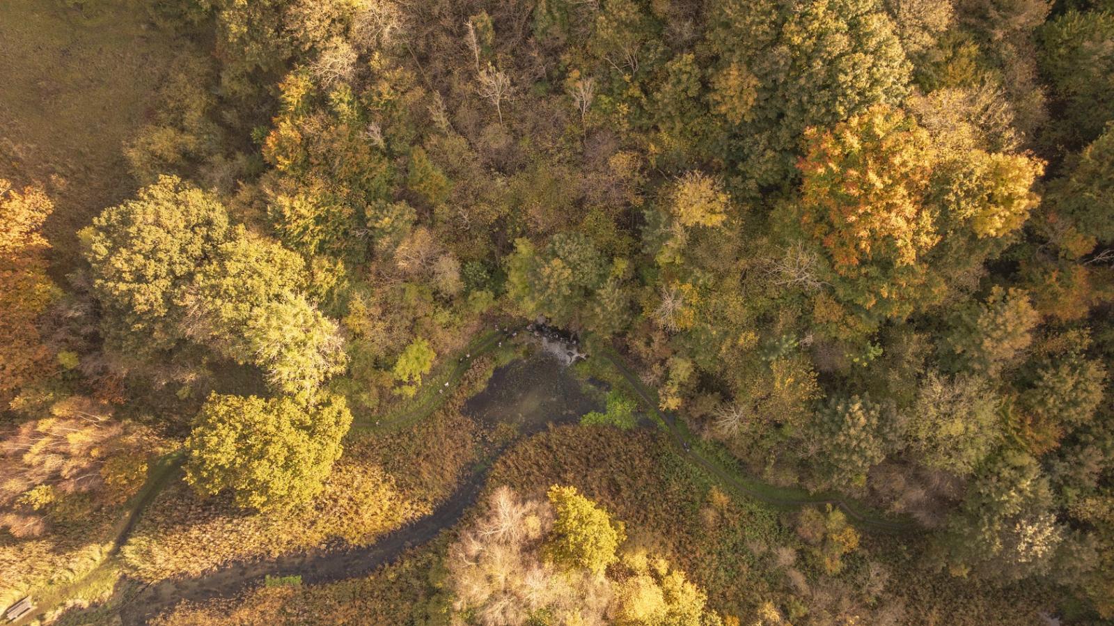 Lille Blåkilde Drone