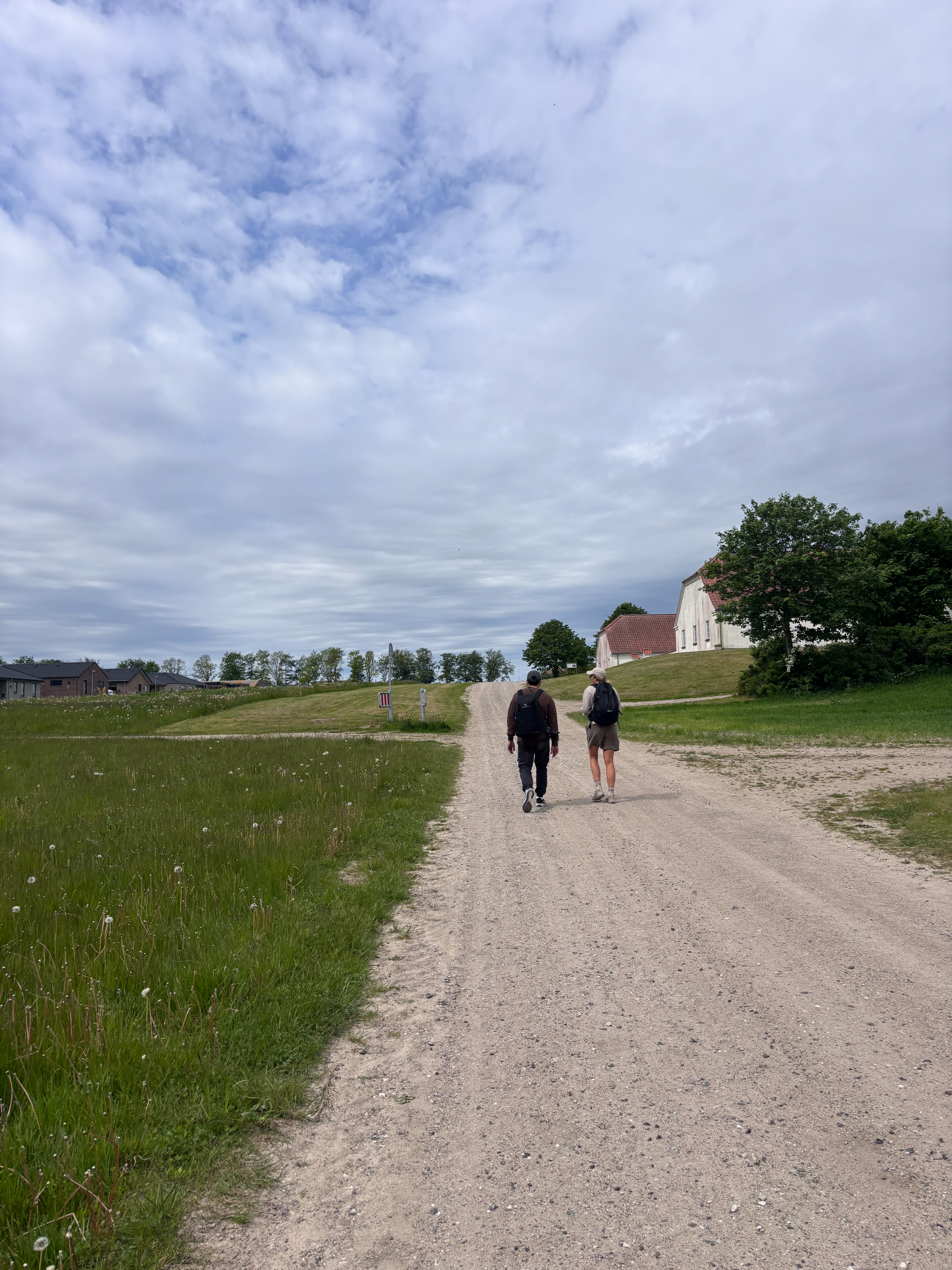 Fra Naturbasen til Vaseholm Sti