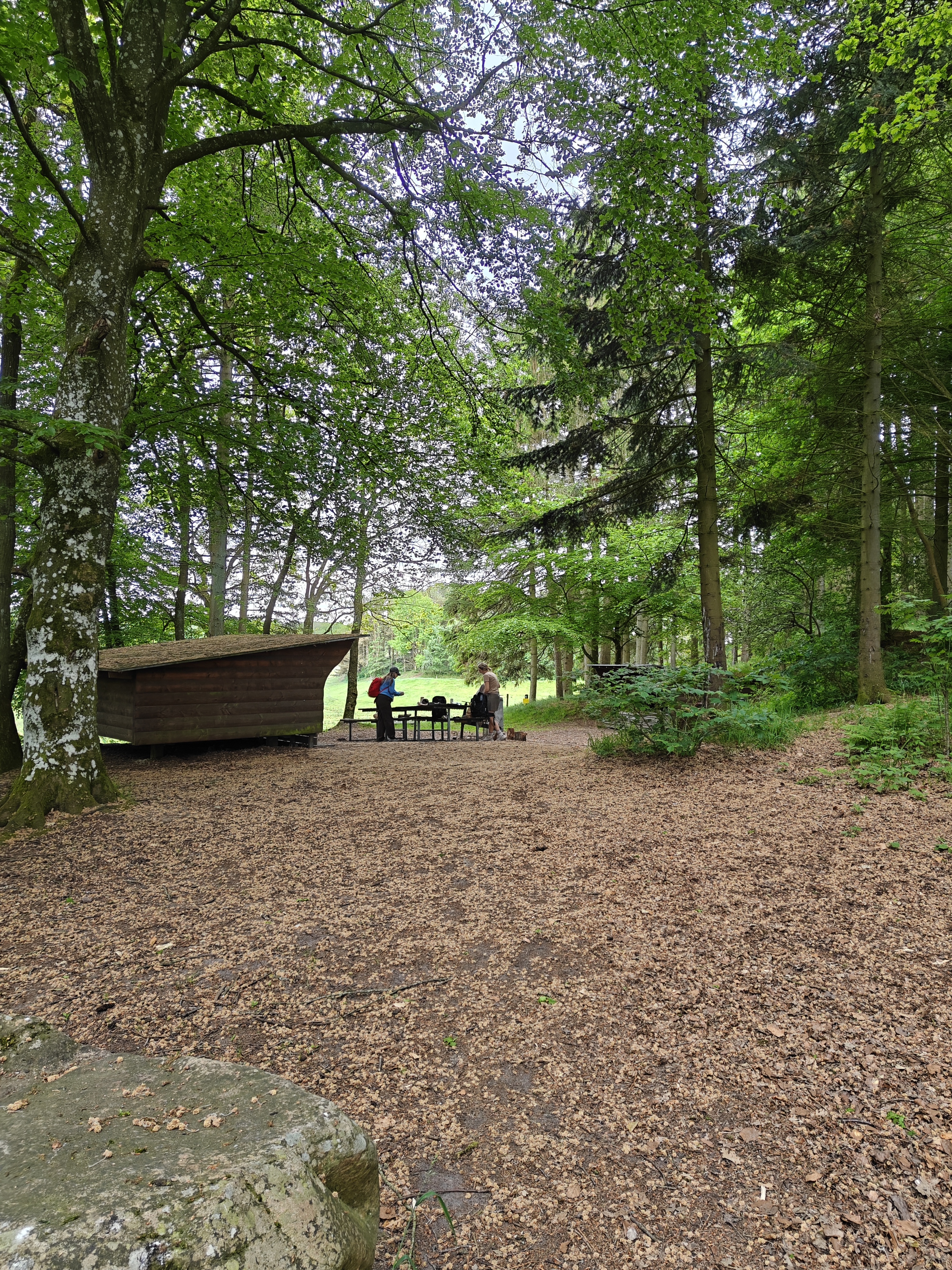 Kanovandring - Klepholm Naturbase
