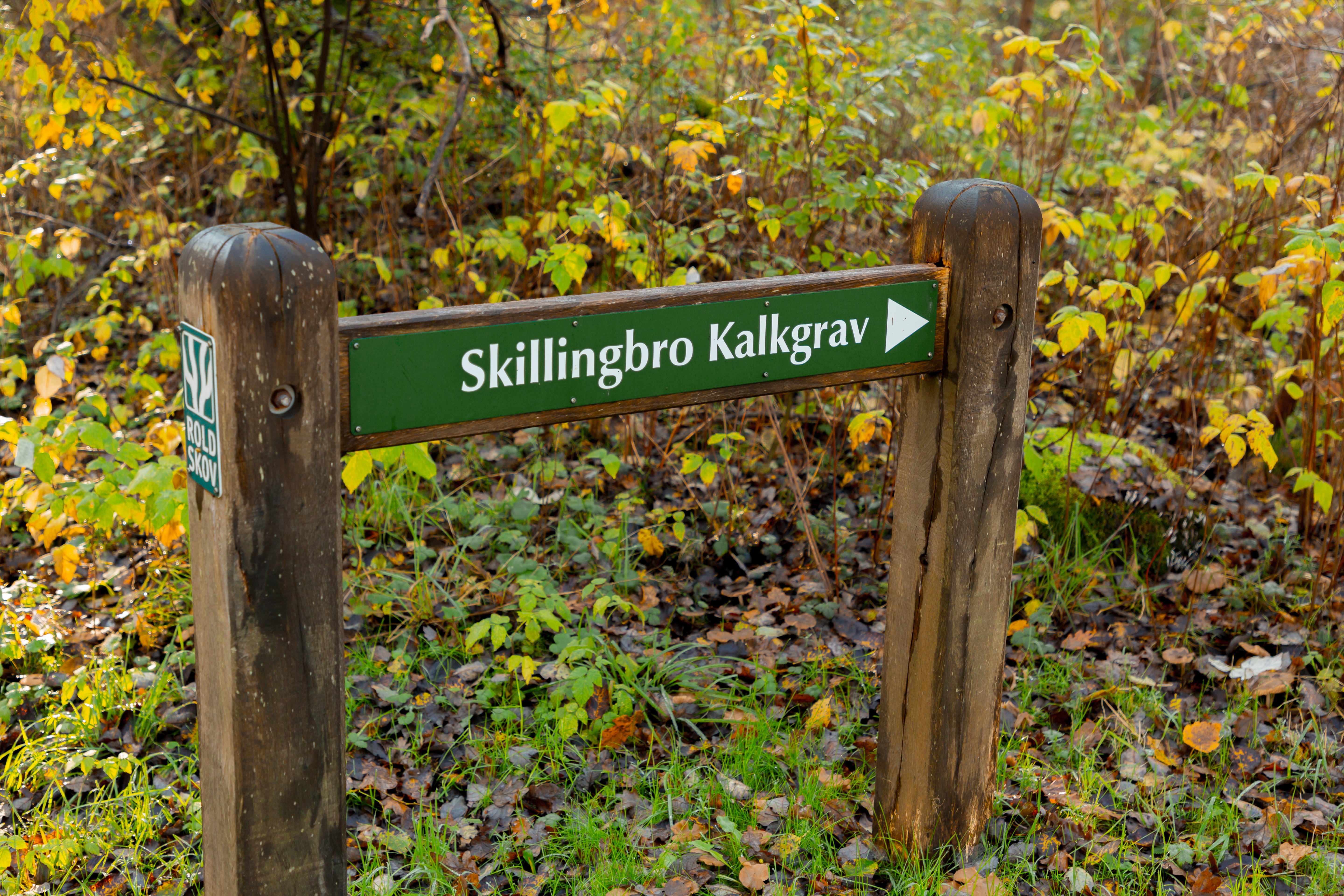 Skilt til Skillingbro Kalkgrav