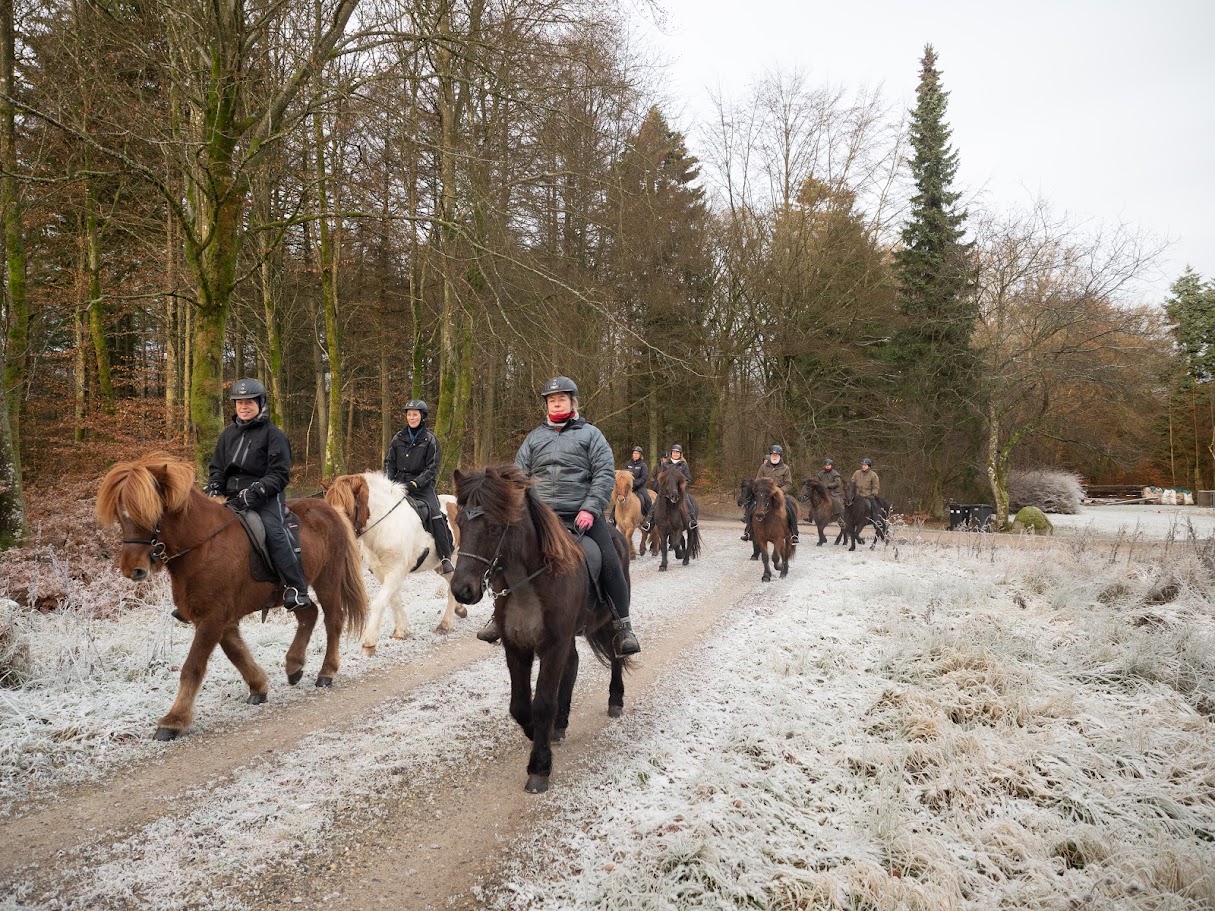 Ridning i Rold Skov om vinteren