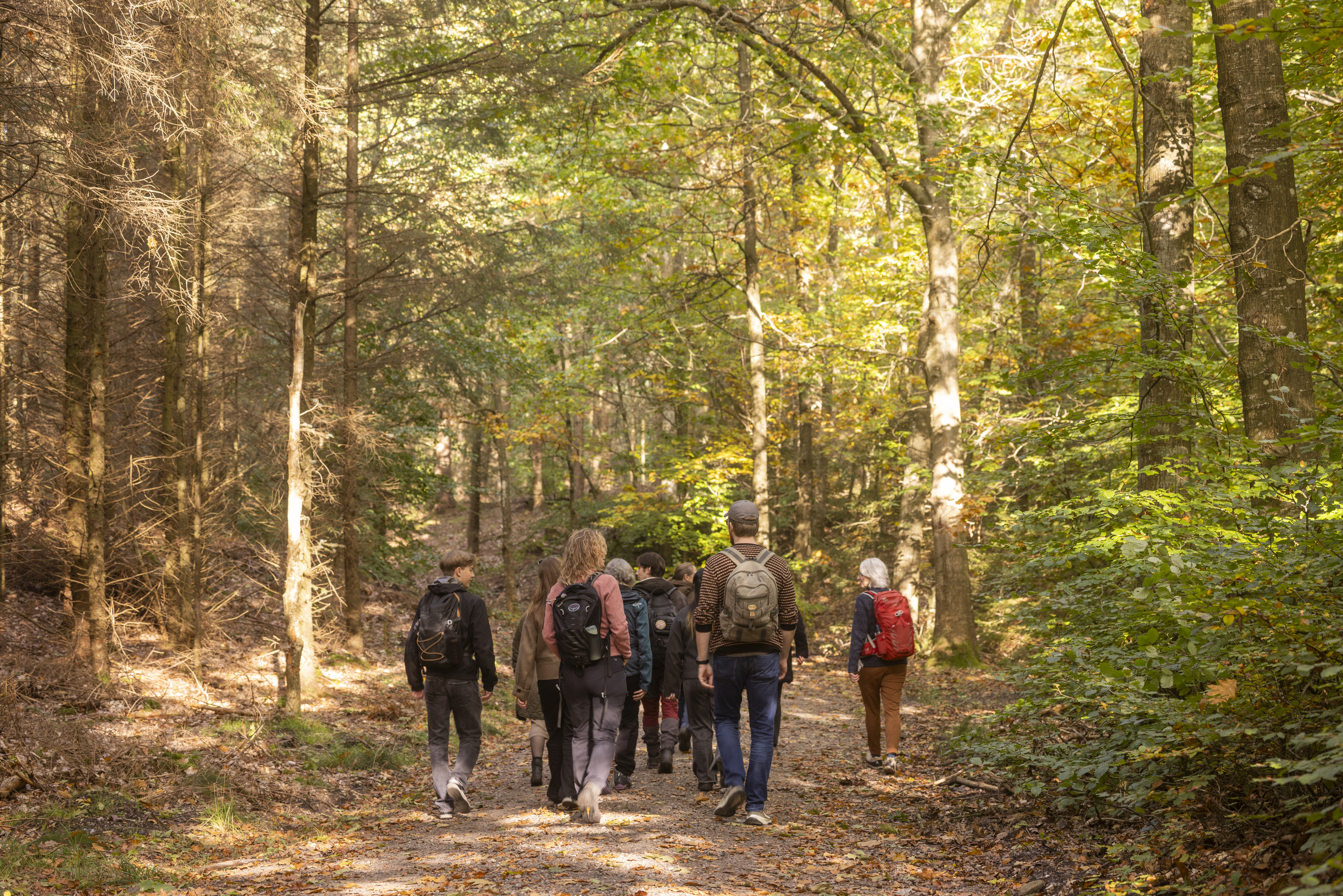 Guidet vandringstur i Rold Skov