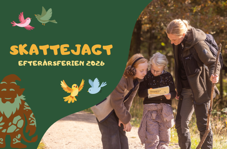 Skattejagt2026