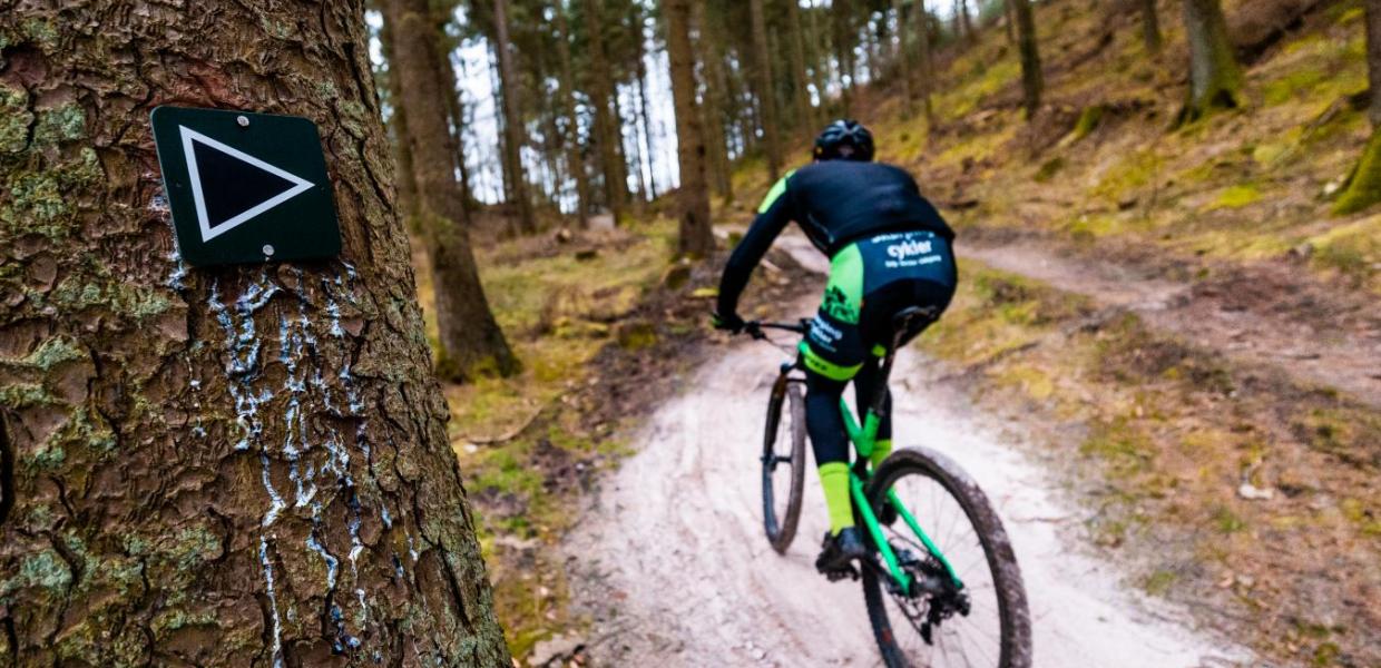 Mountainbike spor i Rold Skov